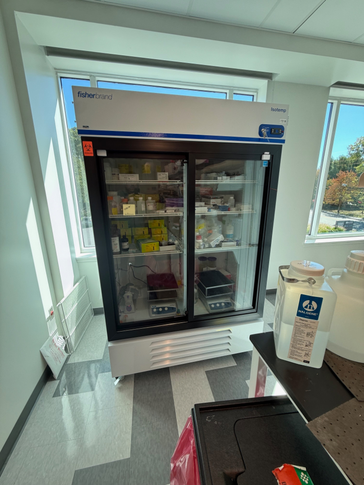 Image of Fisherbrand Isotemp Double Glass Door Laboratory Refrigerator